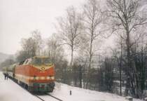 219 159-1 im Bahnhof Berga(Elster) an der Elstertalbahn. Bild vom 12.02.99