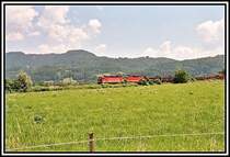 Zwei 1144er fahren mit einem G�terzug am 20.06.05 bei Niederaudorf Richtung Rosenheim.