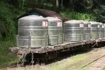 AFR Flachwagen 6113, abgestellt auf der Shuishan Line am 06.Juni 2017.