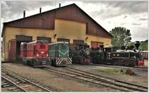 87-0045-5 und  87-0033-8 neben Dampfloks der BR764 vor dem Depot in Viseu de Sus. (11.06.2017)