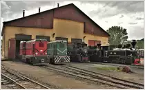 87-0045-5 und  87-0033-8 neben Dampfloks der BR764 vor dem Depot in Viseu de Sus. (11.06.2017)