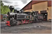 Dampfloks der BR 764 vor dem Depot in Viseu de Sus. (11.06.2017)