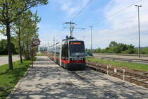 Wien Wiener Linien SL 31: Der ULF B 671 erreicht am Vormittag des 13. Mai 2017 die Haltestelle Floridsdorfer Brücke auf der Donauinsel.