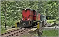 Bei Botizu überquert die 87-0015-5 zwischen zwei Tunnel die Vaser. (12.06.2017)