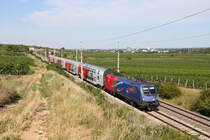 1116.168  Vega  durchfährt mit einen Reg. die Weinberge rund um Pfaffstätten. 31.7.17