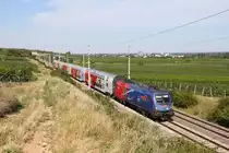 1116.168  Vega  durchfährt mit einen Reg. die Weinberge rund um Pfaffstätten. 31.7.17