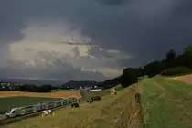 BLS Doppelstocktriebzug RABe 515  Mutz : Während sich ein schweres Gewitter von den Alpen her aufs Mittelland zubewegt, bewegt sich ein Triebzug  Mutz  auf die Station Kehrsatz Nord zu. 21.Juli 2017.