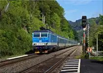 371 015 am 15.05.2017 in Schmilka-Hirschmühle auf dem Weg nach Decin. Aufgenommen am 15.05.2017.