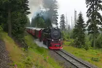 Im Bahnhof Goetheweg kam uns 99 236 mit dem P8927 (Drei Annen Hohne - Brocken) entgegen.

Goetheweg, 05. August 2017