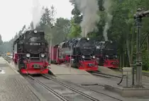 Dampfloktreff Drei Annen Hohne.
Da 99 7232 einen Defekt hatte, kam 99 7239-9 von Wernigerode nach Drei Annen Hohne um die kaputte Lok abzulösen, diese fuhr dann solo runter nach Wernigerode Westerntor in die Werkstatt.

Drei Annen Hohne, 05. August 2017
