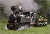 Freiluftfeeling im offenen Aussichtswagen mit Dampf, Russ und peitschenden Ästen im dichten Wald von Comandau. (15.06.2017)