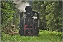 Wie man sich eine Waldbahn vorstellt taucht die 764.243 in die Wälder bei Comandau. (15.06.2017)