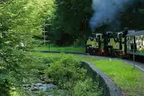 99 1793 und 99 1734 mit P 6006 am 17.06.2017 kurz vor Erreichen des Haltepunktes Spechtritz. (Aufnahme aus dem fahrenden Zug)