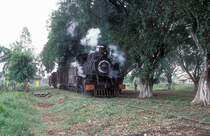 Nr. 1543  P. d. Mayo  09.03.96