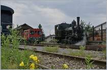 Im für schweizer Verhältnise ungewoht Fahrdrahtlosen Bahnhof von Triengen zeigt sich die für den heutigen Tag eingeteilte ST E 3/3 N° 5 neben einem Tm. 
27. August 2017