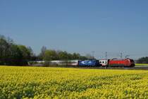 120 151 (ZDF express) mit IC 327 und 101 xxx mit IC 2296 bei Mammendorf (19.04.2007).
Was f�r ein Gl�ck, w�re die 101'er auch eine Werbelok gewesen!!!