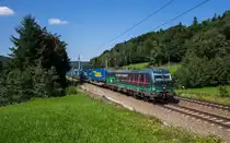 193 252 fährt mit einem LKW Walter KLV bei Wernstein in Richtung Wels, aufgenommen am 23. August 2017.