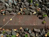 In Niemegk konnte ich auf einer Stahltrogschwelle noch die Schrift Rbd Berlin Reichsbahndirektion Berlin erkennen. Seit dem 31.12.1998 ist hier der Zugverkehr eingestellt.

Niemegk 01.08.2017
