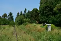 Seit dem 31.12.1998 ist hier kein Zug mehr gefahren und die Streckeverwächst langsam.
Blick auf den ehemaligen Haltepunkt Dahnsdorf Richtung Bad Belzig.

Dahnsdorf 01.08.2017 
