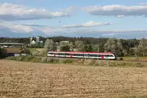 Erntezeit ist in der Weststeiermark... 

Wettmanstätten am 14.09.2017