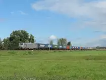 Schwindratzheim, 14/09/2017 : ein Rheintalumleiter fährt über die Linie 1 zwischen Kehl und Forbach, gezogen von der 37055.
