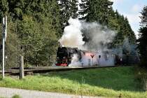 99 7243-1 bei Drei Annen Hohne am 16.9.2017