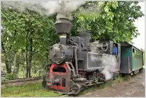 Unter Kirschen- und Walnussb�umen hindurch bahnt sich 764.243 ihren Weg durch die Strada Ardealului in Brad. (16.07.2017)