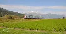 Ein RABe 511 (Stadler Kiss) unterwegs im Rheintal in Richtung Chur. Foto aufgenommen am 23.9.2017