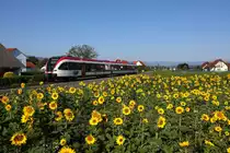 Ein GTW 2/8 am Köflacher Ast fährt in die Halte Stelle Lieboch Schadendorf ein. 

23.09.2017