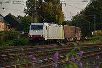Ich staunte nicht schlecht als die Railpool 185 637-6 mit ihrem gelben Logo und eine Braunkohlezug aus Niederaussem, aus Rommerskirchen kommend in den Rheydt Hbf eingefahren kam. Eigentlich ist dieser Zug eine DB Leistung.....was das nun auf sich hatte weiss ich nicht, war aber ein schöner Farbklex im vielen Rot des Abends. 26.9.2017