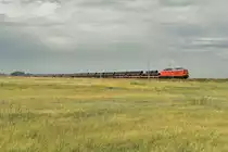 Wunschbild heute umgesetzt mit 232 635. Die Friedländerwiese vor den Toren Ferdinandshof. 27.09.2017