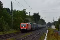 Die WLE-Lok 81 (91 80 6189 801-4 D-WLE) bringt am 8. September etwas Farbe ins Grau-in-Grau, als sie mit ihrem Ems-Isar-Express den Bahnhof Emsdetten durchfährt.