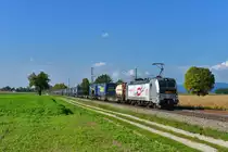 193 806 mit DGS 43945 am 26.09.2017 bei Langenisarhofen. 