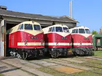 118 731-9, 118 757-4 und 118 788-9 aufgereiht im Lokschuppen des Bahnbetriebswerks Weimar anlässlich des Tags der offenen Tür am 10.10.2015.