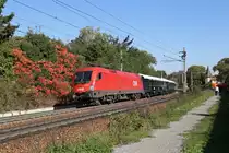 1116.104 mit VSOE-13460 zwischen Pressbaum und Dürrwien. 30.9.17