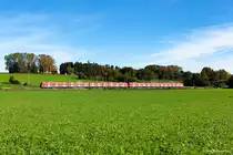 Ein Vollzug der Münchner S-Bahn rollt am 02.10.2017 zwischen Gilching und Geisenried durch die frühherbstliche Landschaft