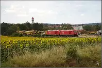 ÖBB 2016.022 und 2016.008 bringen einen schweren Gleisbauzug von Fischamend Steg zum Flughafen Wien. (12.07.2017)