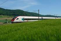 RABDe 500 029-4  Eduard Spelterini , Schweizer Ballonpionier 1852-1931. Der ICN, auf der Fahrt nach Z�rich, verschwindet gleich hinter einem Gerstenfeld bei Frick im Aargau. 13.5.2007