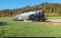 DVZO Fahrzeugtreffen 2017. Habersack Eb 3/5 5810 der Dampfbahn Bern am 15. Oktober 2017 mit einem GmP auf Talfahrt von Bäretswil nach Bauma.