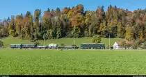 DVZO Fahrzeugtreffen 2017. Ae 6/6 11407  Aargau  vom Verein Mikado 1244 am 15. Oktober 2017 mit einem GmP zwischen Saland und Wila.