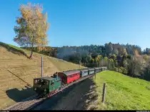 DVZO Fahrzeugtreffen 2017. DVZO Ed 2/4 2  Hinwil  am 15. Oktober 2017 mit einem Zug von Hinwil nach Bauma kurz vor der Station Ettenhausen-Emmetschloo.