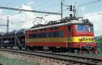 242 218  Chodova Plana  19.05.98