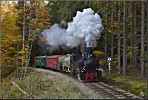 Der mit der U46 bespannte Fotozug nach Nová Bystřice kurz nach Kaproun. (14.10.2017)