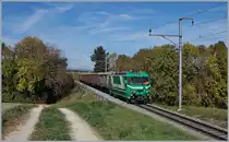 Die BAM MCB Ge 4/4 21 führt sieben aufgebockte Eaos von Apples nach Morges. Der Zug wurde hinter meinem Rücken auf offener Strecke hier bei Reverolle beladen.
17. Okt. 2017