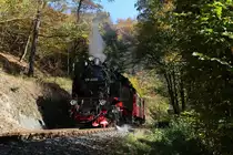 Kurz vor dem Haltepunkt Drahtzug habe ich 99 6001 mit dem P8963 noch einmal erwischt.

Drahtzug, 14. Oktober 2017
