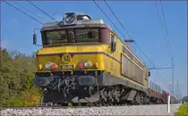 SŽ 363-005 zieht leeren Containerzug an Črešnjevec vorbei Richtung Koper Hafen. /10.10.2017