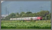 Eine 1116 061 bringt am 17.06.05 bei Stans b.Schwaz den EuroCity 88  Leonardo da Vinci  nach M�nchen Hbf.