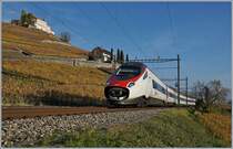 Der SBB ETR 610 (RABe 503) als EC 36 von Milano nach Genève unterwegs macht mir mit seiner offenen Schnauze wenig Freude, als er bei Lutry durchs herbstliche Lavaux fuhr. 
3. Nov. 2017