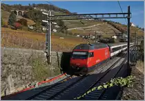 Aus Gründen der langen Schatten habe ich mich hier für einen Nachschuss entschieden: Die SBB Re 460 018-5 schiebt kurz nach der Station Lutry ihren IR 1823 Richtung Brig und lässt die Agglomeration Lausanne hinter sich um ins Lavaux zu gelangen. Rechts oben im Bild ist ein Viadukt der Strecke Lausanne Bern zu sehen.
23. Nov. 2017