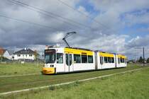 Straßenbahn Mainz / Mainzelbahn: Adtranz GT6M-ZR der MVG Mainz - Wagen 213, aufgenommen im Oktober 2017 in Mainz-Marienborn.